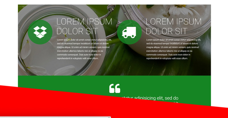 Organische cosmetica - Make-upwinkel-sjabloon PrestaShop-thema - Features Image 14