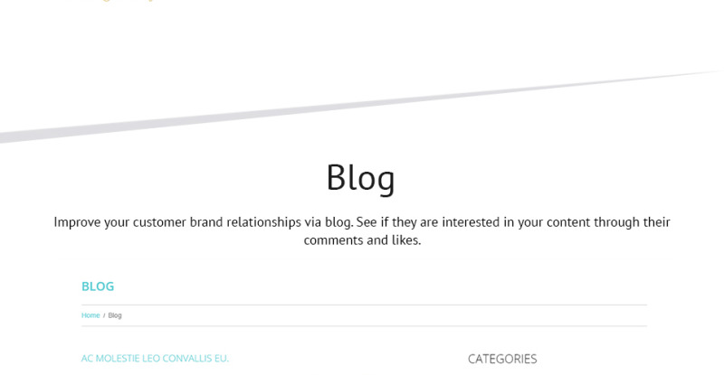 Travel Agency Responsive WordPress Theme - Features Image 20