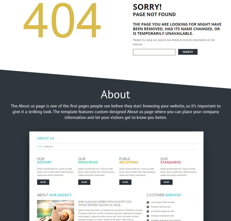 Travel Agency Responsive WordPress Theme - Features Image 27