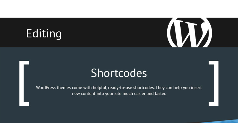 Business Promotion WordPress Theme - Features Image 14