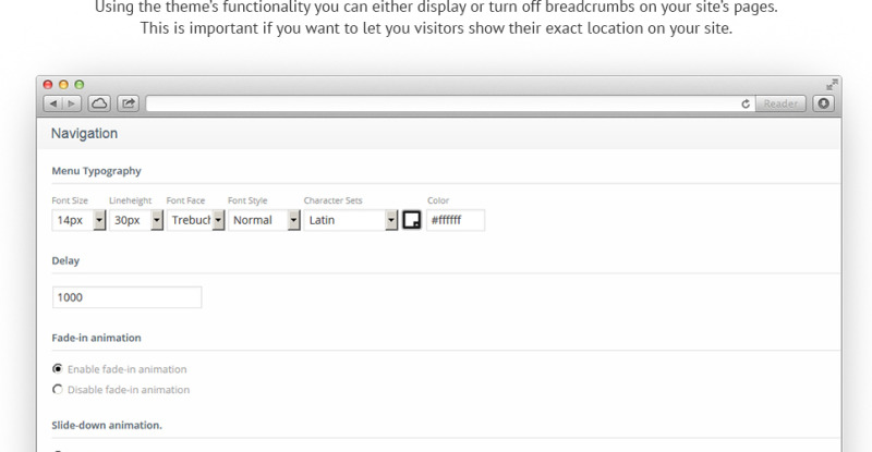 Business Promotion WordPress Theme - Features Image 17