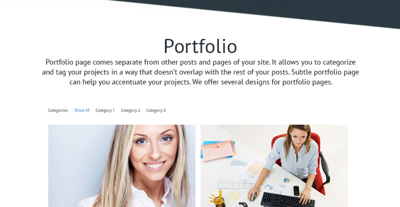 Business Promotion WordPress Theme - Features Image 24