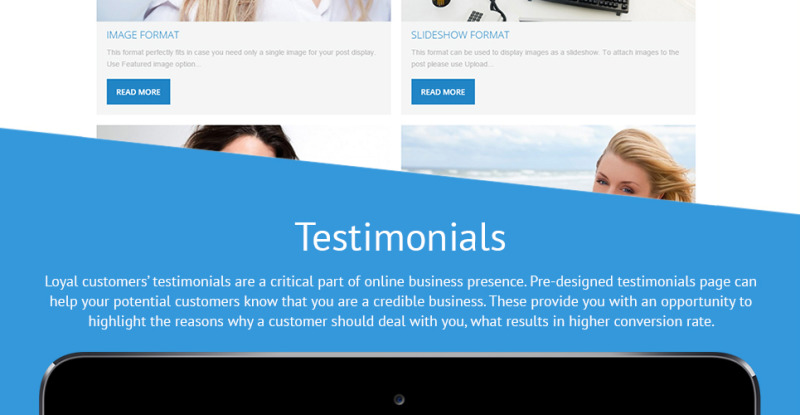 Business Promotion WordPress Theme - Features Image 25