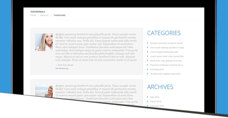 Business Promotion WordPress Theme - Features Image 26
