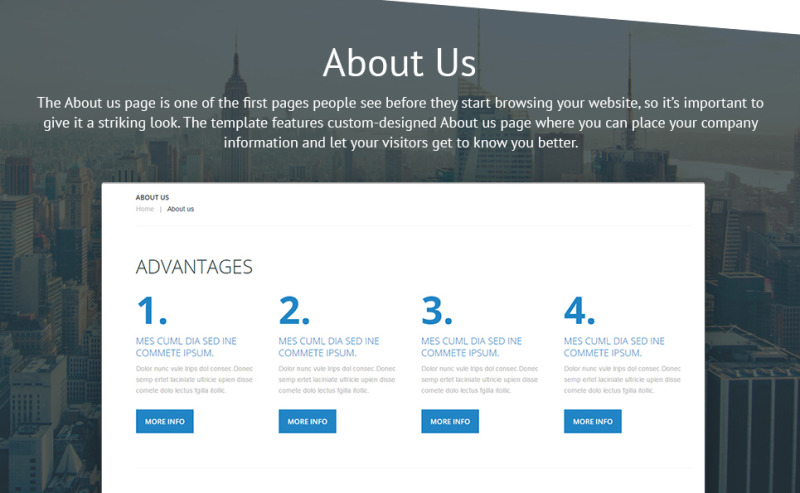 Business Promotion WordPress Theme - Features Image 28