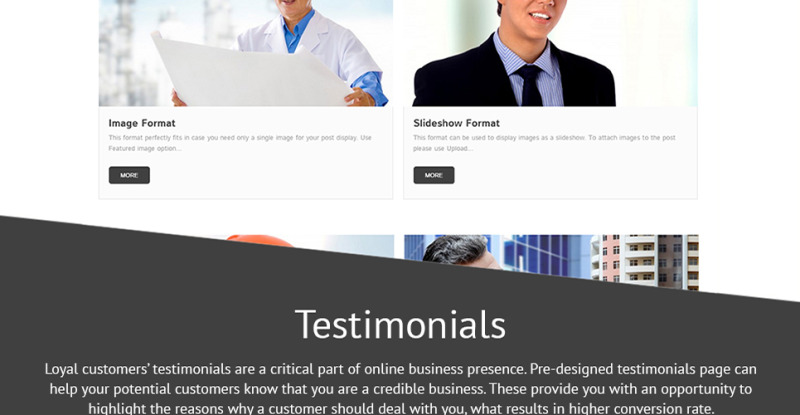 Construction Company Responsive WordPress Theme - Features Image 26