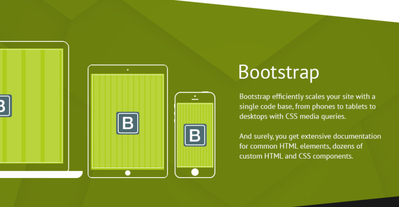 Hair Transplantation WordPress Theme - TemplateMonster