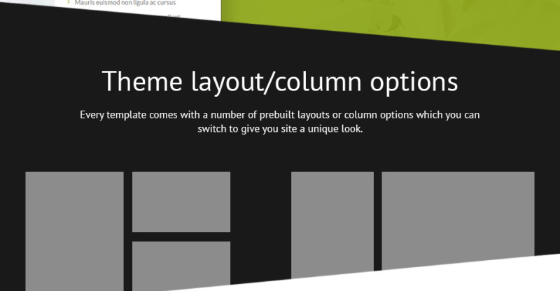 Hair Transplantation WordPress Theme - Features Image 17