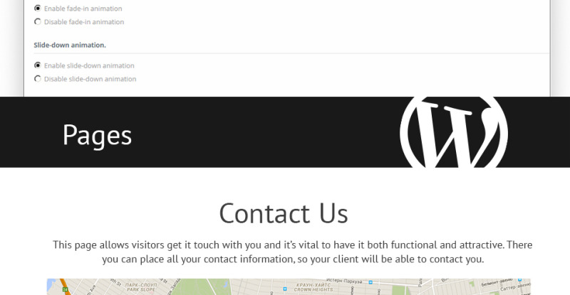 Hair Transplantation WordPress Theme - Features Image 19