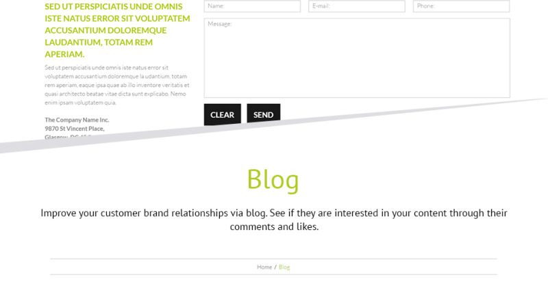 Hair Transplantation WordPress Theme - Features Image 21