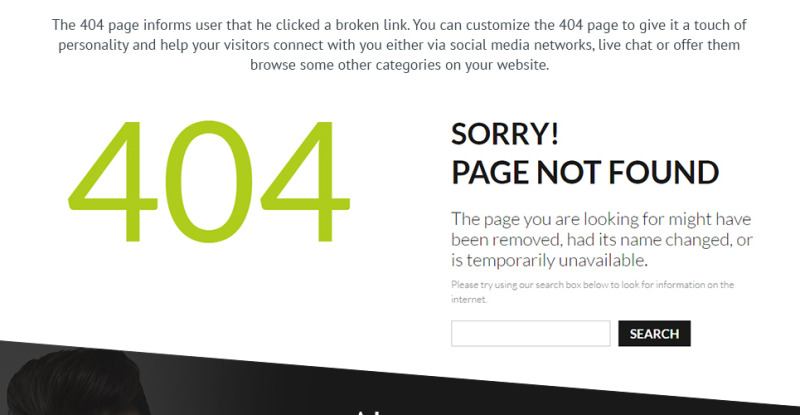 Hair Transplantation WordPress Theme - Features Image 28