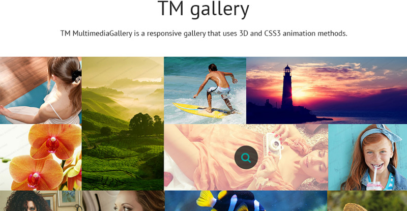 Photographer Portfolio Website Template - Features Image 11