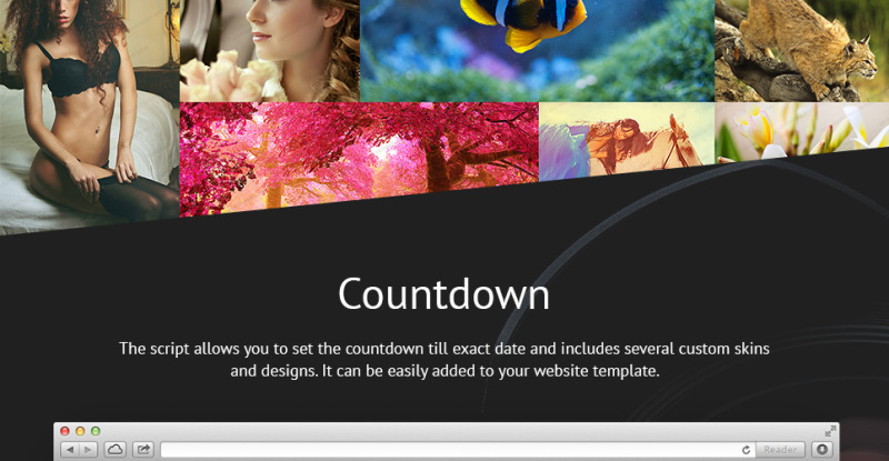 Photographer Portfolio Website Template - Features Image 12