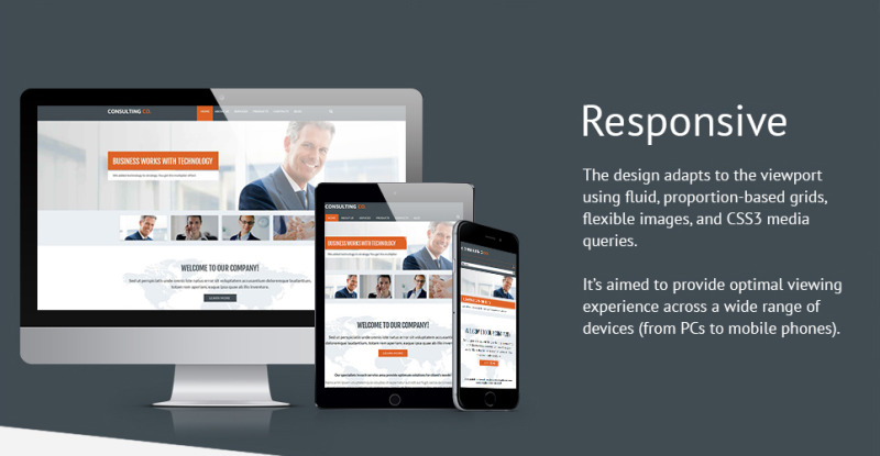 Business Drupal Template - Features Image 1