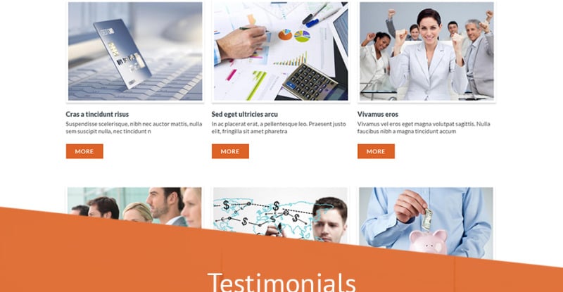 Business Drupal Template - Features Image 10