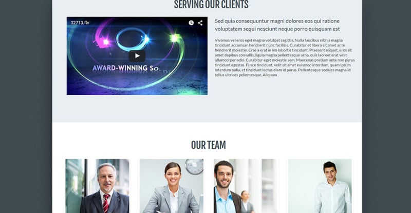 Business Drupal Template - Features Image 14