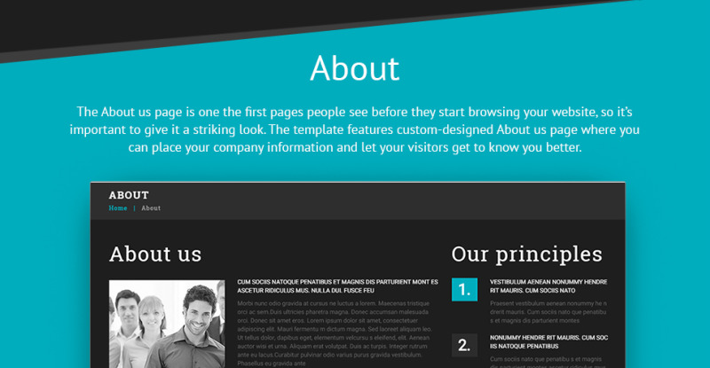 Law Firm Responsive WordPress Theme - Features Image 20