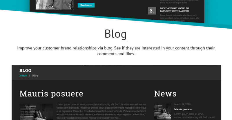 Law Firm Responsive WordPress Theme - Features Image 21
