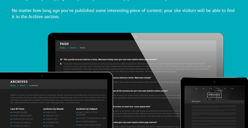 Law Firm Responsive WordPress Theme - Features Image 23
