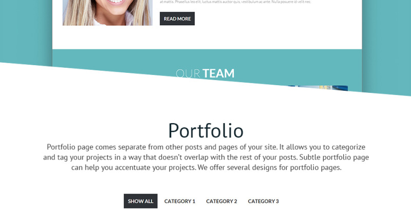 Gitex WordPress Theme - Features Image 24