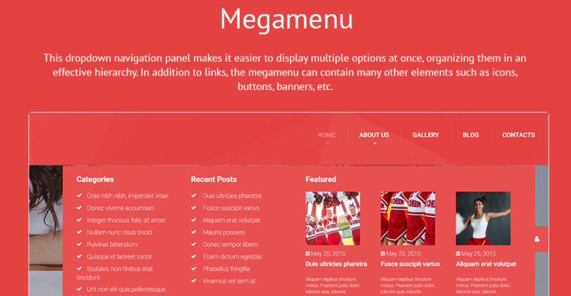 Energetic Cheerleaders WordPress Theme - Features Image 7