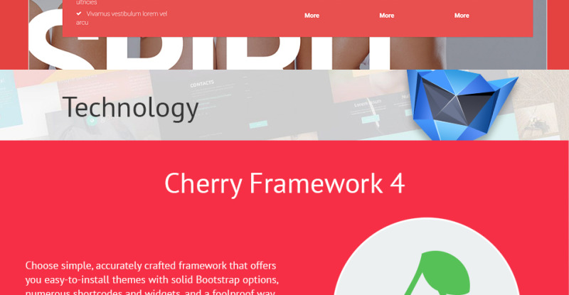 Energetic Cheerleaders WordPress Theme - Features Image 8