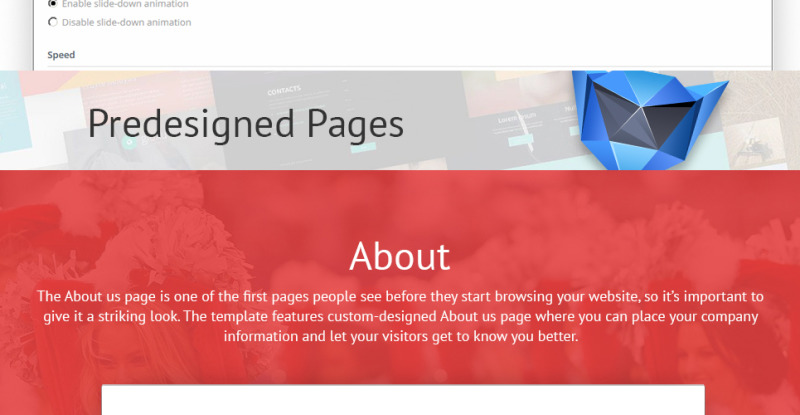 Energetic Cheerleaders WordPress Theme - Features Image 24