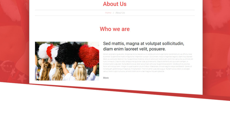 Energetic Cheerleaders WordPress Theme - Features Image 25