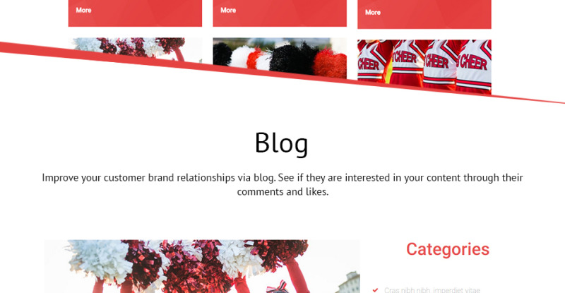 Energetic Cheerleaders WordPress Theme - Features Image 27