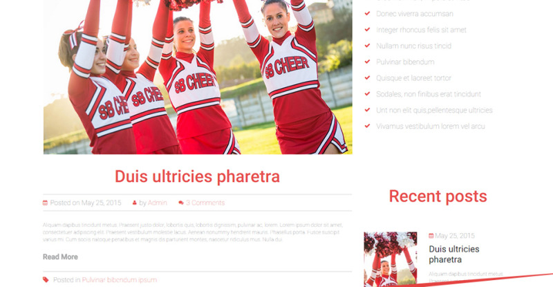 Energetic Cheerleaders WordPress Theme - Features Image 28