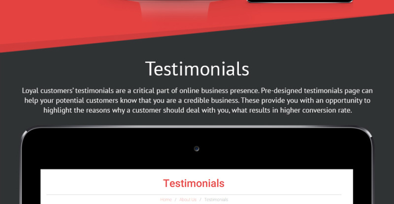 Energetic Cheerleaders WordPress Theme - Features Image 33