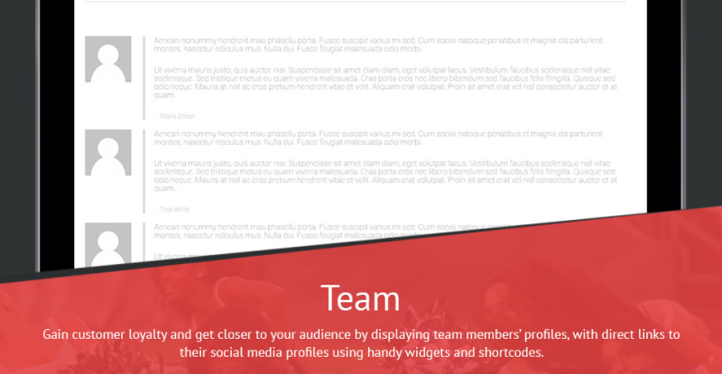 Energetic Cheerleaders WordPress Theme - Features Image 34