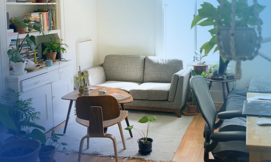 2019 Best Rental Property Booking WordPress Themes