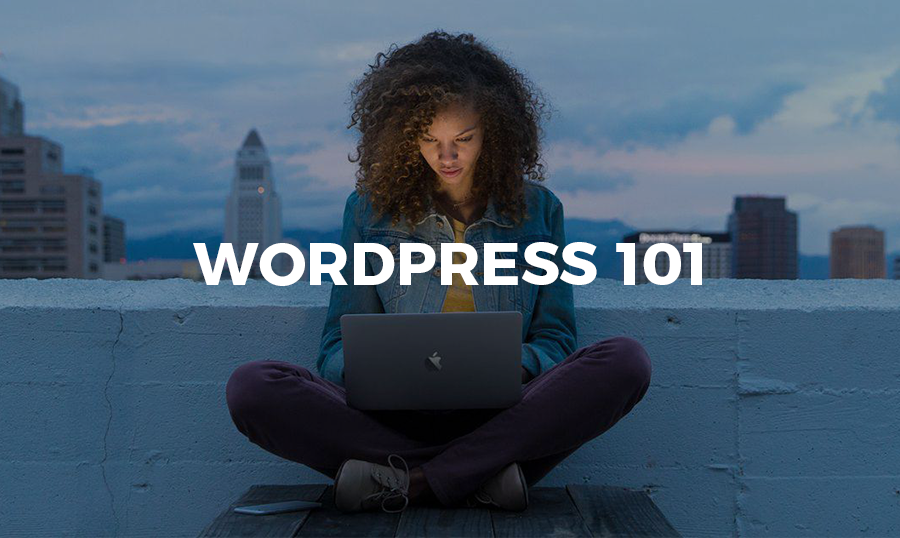 WordPress 101: démarrez votre site Web avec ces cours en ligne